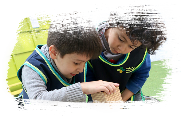 Colegio Chiaravalle Montessori